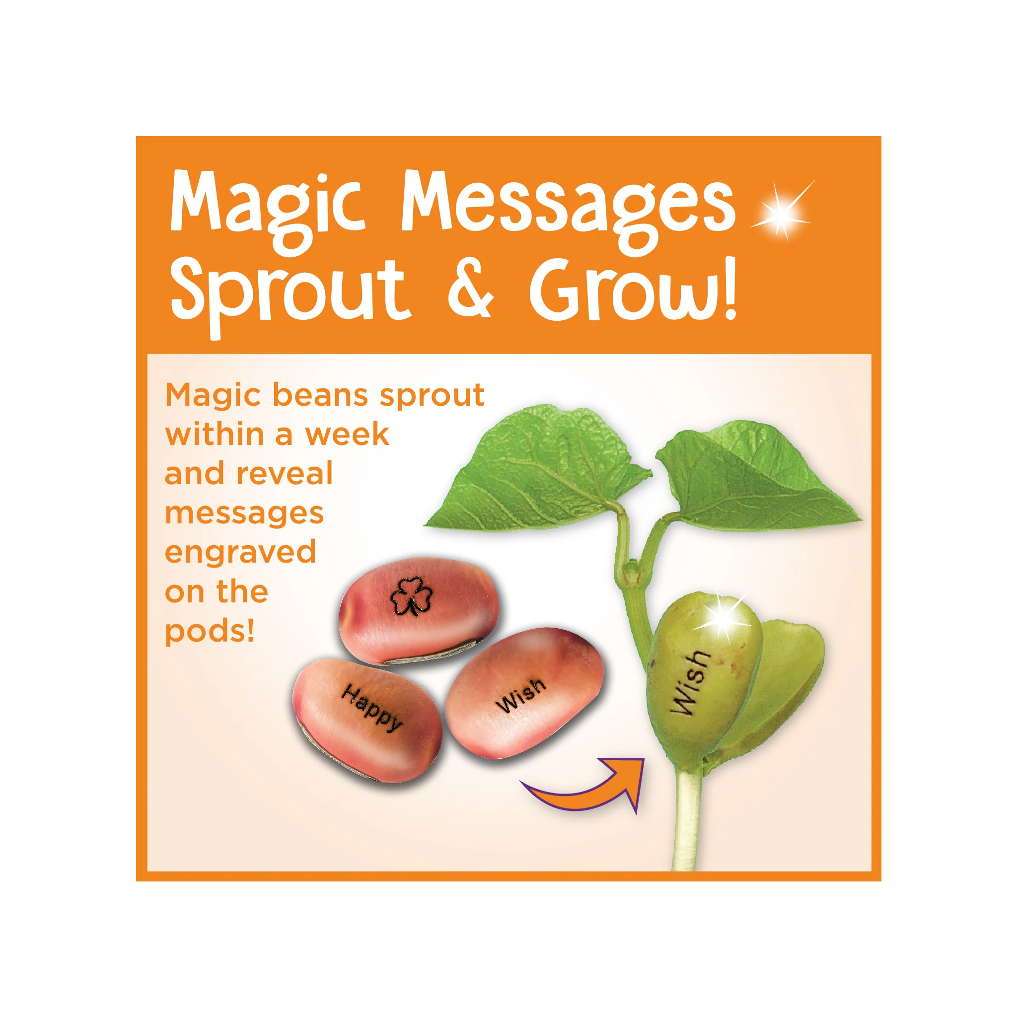 Magic Bean Garden - #6224000 - Image 6