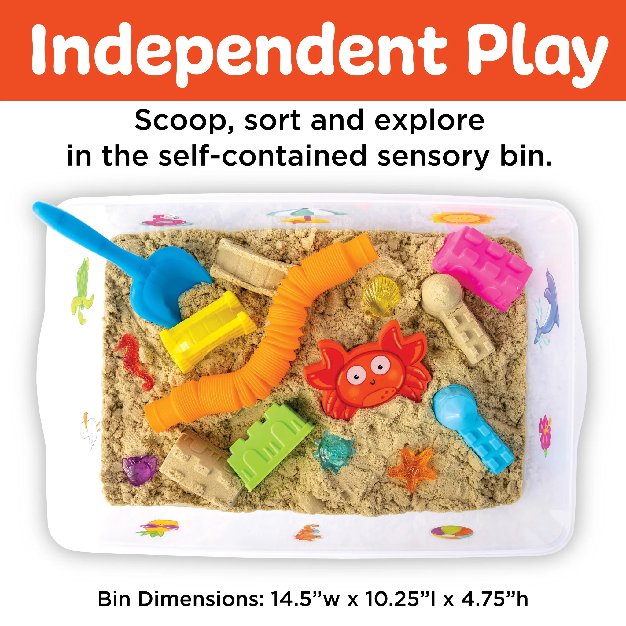 Sensory Bin Beach - #6449000 - Image 6