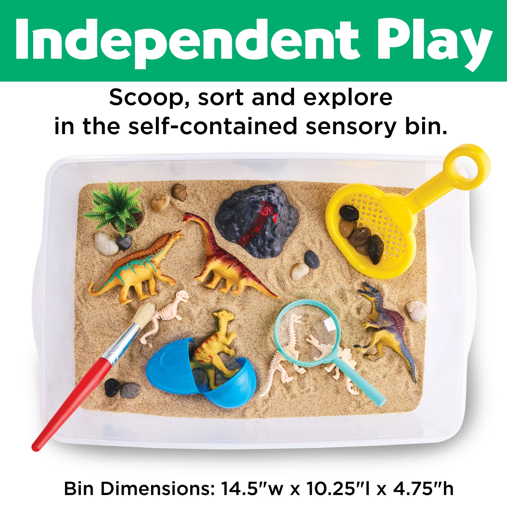 Sensory Bin Dinosaur Dig - #6283000 - Image 5
